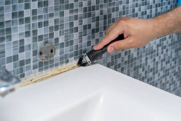 Best Mold Remediation for Schools in Westville, IN